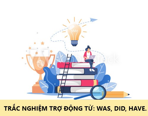 TRẮC NGHIỆM TRỢ ĐỘNG TỪ: WAS, DID, HAVE.