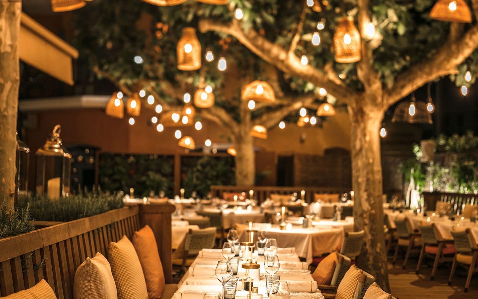 Luyện nghe chủ đề: Restaurant Unit 2.