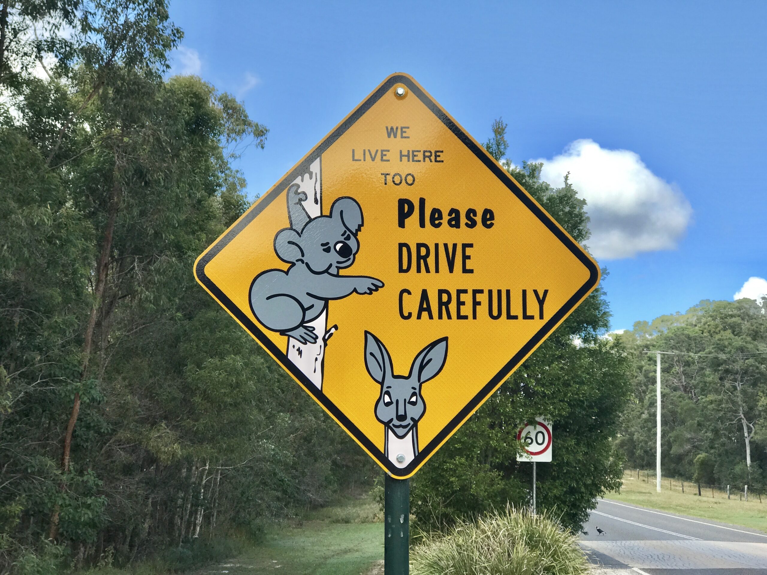 Elementary Grammar- Test 1- Drive carefully.