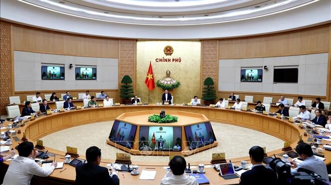 Bài tập collocation government